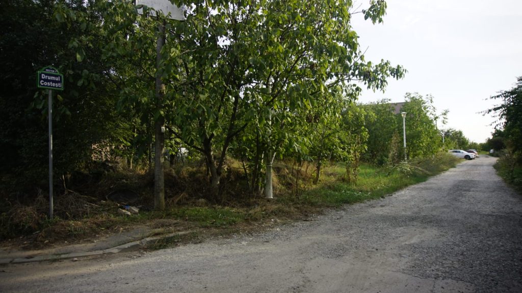 D85a174e d61e 4451 93c1 2a0187246a49